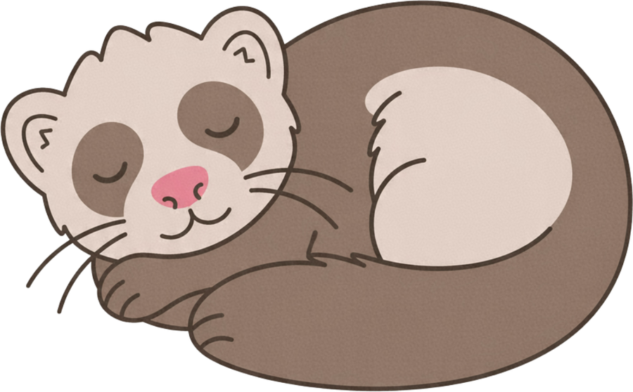 Hurón dormido enroscado